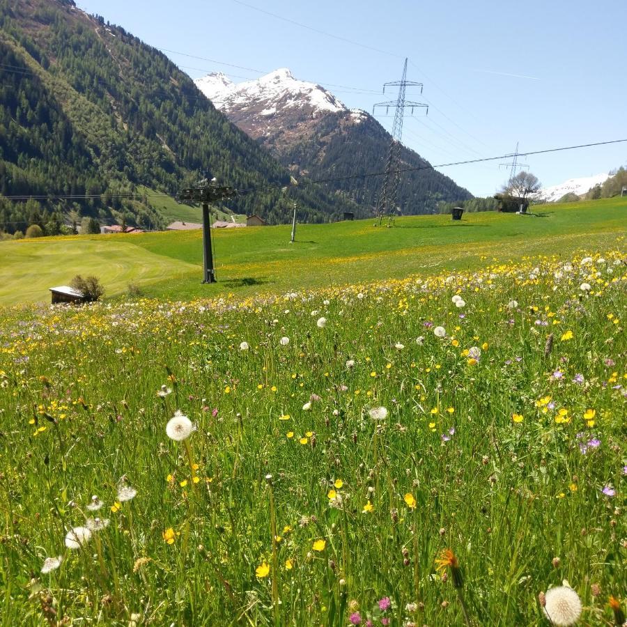 Stier Apartment St Anton am Arlberg Eksteriør billede